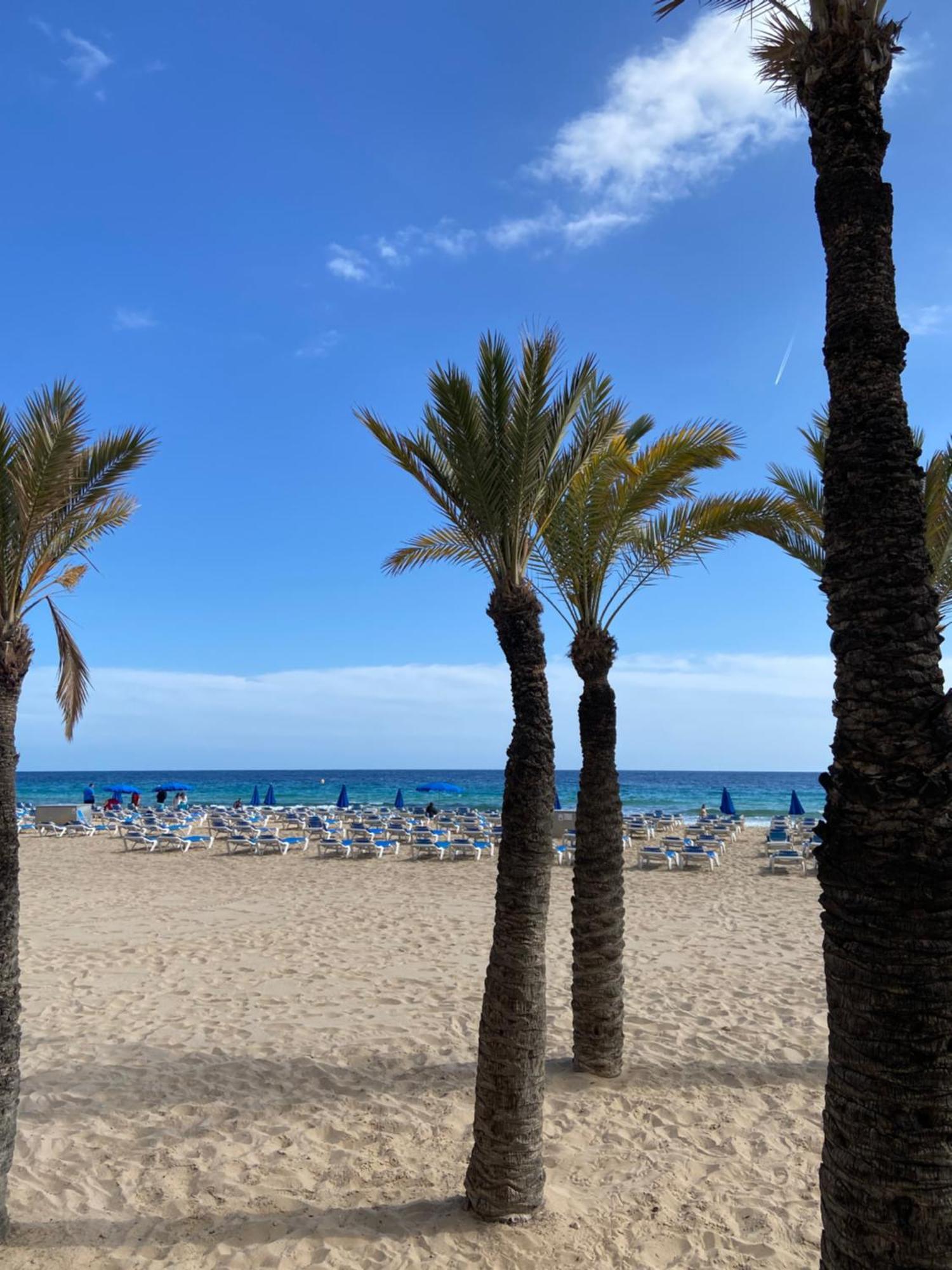 Levante Carlos V 1B Benidorm Dış mekan fotoğraf