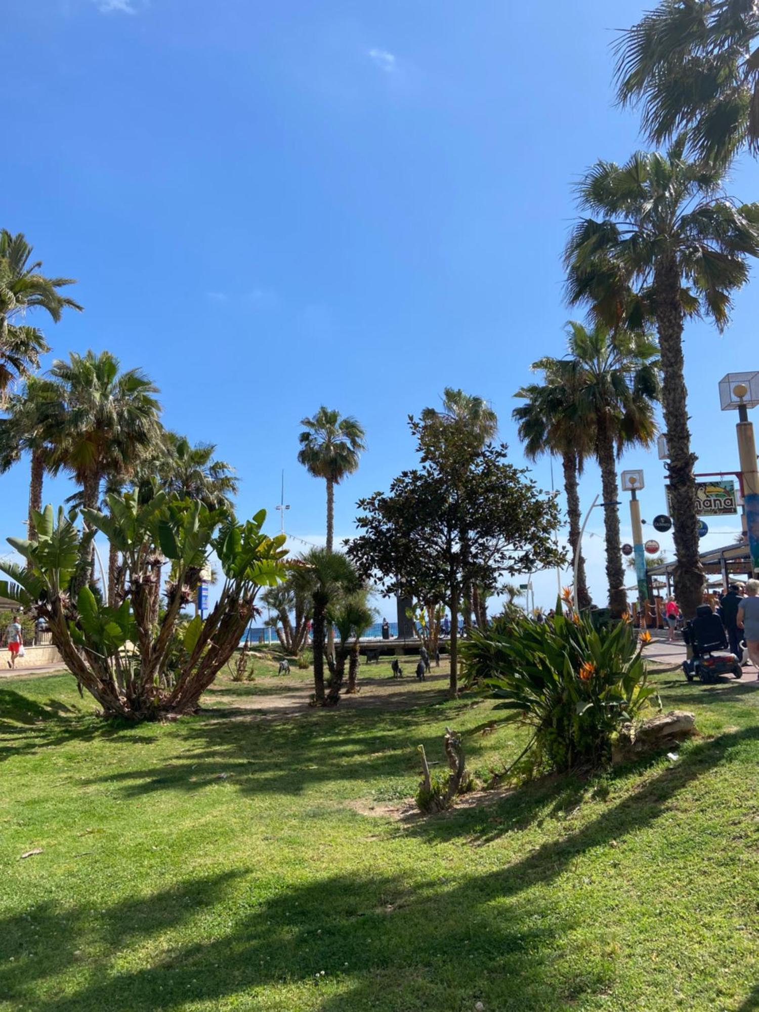 Levante Carlos V 1B Benidorm Dış mekan fotoğraf